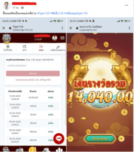 tiger126: หน้าหลัก 20 รีวิวสล็อตแจ็คพอตแตก 8